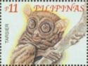 Philippine Tarsier (Carlito syrichta)