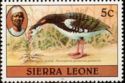 Spur-winged Goose (Plectropterus gambensis); 1982 imprint