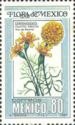 Cempoaxúchitl (Tagetes erecta)