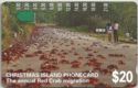 The Annual Red Crab Migration