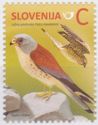 Lesser kestrel (Falco naumanni) - reprinted 2015