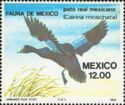 Stamp:-Muscovy-Duck-(Cairina-moschata)-(Mexico)
