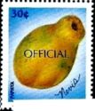 Papaya overprinted