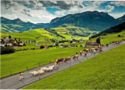 Traditional descent from the alps, Canton Appenzell