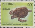 Green Turtle (Chelonia Midas)