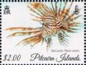 Red Lionfish (Pterois volitans) facing left
