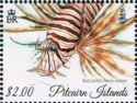 Red Lionfish (Pterois volitans) facing downwards
