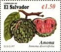 Annona diversifolia