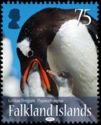 Gentoo Penguin (Pygoscelis papua)