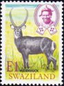 Ellipsen Waterbuck (Kobus ellipsiprymnus)