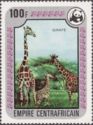 Giraffe (Giraffa camelopardalis)