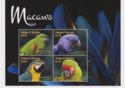 Macaws (1)