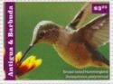 Broad-tailed Hummingbird (Selasphorus platycercus)