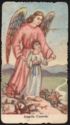 "Guardian Angel", Canedi G. Cav. - Milano (IT)