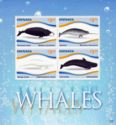 Whales