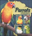 Parrots of South America