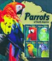 Parrots of South America