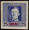 Emperor Karl I (1887-1922) overprinted in BANI