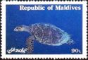 Olive Ridley Sea Turtle (Lepidochelys olivacea)