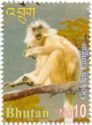 Golden Langur (Trachypithecus geei)