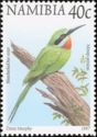 Blue-cheecked Bee-eater (Merops persicus)