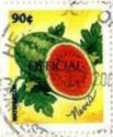 Watermelon overprinted