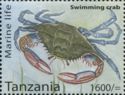 Swimming Crab