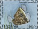 Smooth Trunkfish (Lactophrys triqueter)
