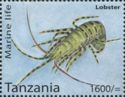 Lobster (Family Nephropidae)