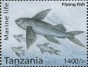 Flying Fish (Exocoetus sp.)