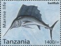 Sailfish (Istiophorus sp.)
