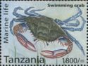 Swimming crab