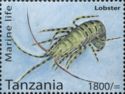 Lobster (Family Nephropidae)