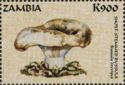Russula brevipes