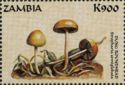 Stropharia semiglobata