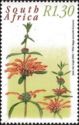 Wild dagga (Leonotis leonurus)