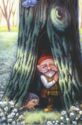 Forest Gnome