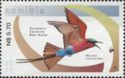 Southern Carmine Bee-eater (Merops nubicoides)