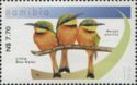 Little Bee-eater (Melittophagus pusillus)