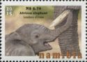 African Elephant (Loxodonta africana)