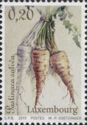 Root Crops - Parsnip (Pastinaca sativa)