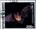 Townsend's Big-eared Bat (Corynorhinus townsendii)
