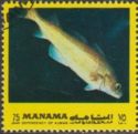 Yellowstripe Goatfish (Mulloidichthys flavolineatus)