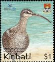 Bristle-thighed Curlew (Numenius tahitiensis)