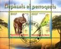 Elephants and Parrots