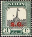 Giraffe (Giraffa camelopardalis) - Overprint "S.G."