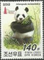 Giant Panda (Ailuropoda melanoleuca)