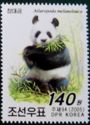 Giant Panda (Ailuropoda melanoleuca)