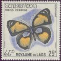 Yellow Pansy (Precis cebrene)
