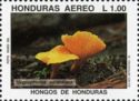 Hygrophorus aurantiaca